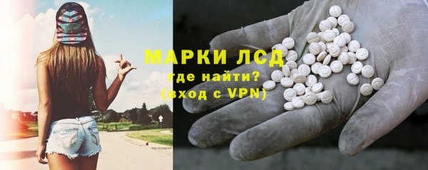 стаф Апатиты