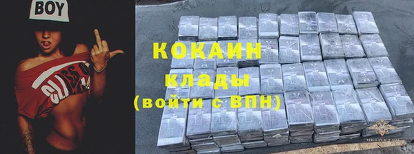 ГАЛЛЮЦИНОГЕННЫЕ ГРИБЫ Бежецк
