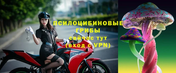 mdma Новодвинск