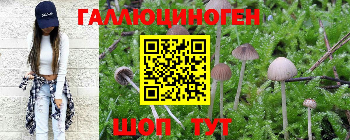 Галлюциногенные грибы MAGIC MUSHROOMS Новошахтинск
