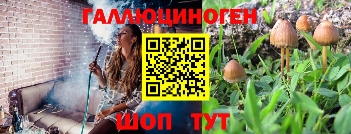 Новошахтинск  Галлюциногенные грибы ЛСД  Вход с VPN 