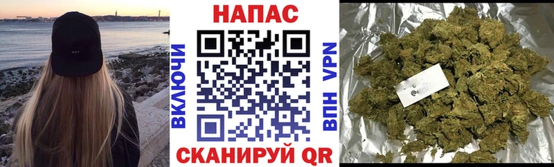 Бошки Шишки Amnesia  где продают наркотики  Новошахтинск 