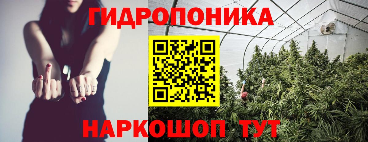 Бошки Шишки Bruce Banner  Новошахтинск  Шишки марихуана план  Конопля индика 